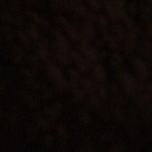 Meet your Posher, Collin